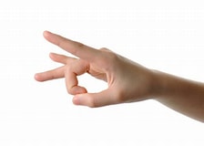 President Farkus declares today “Flick Buddy’s Ear Day”